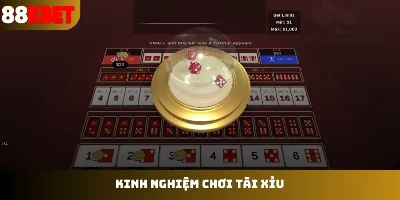 Bật mí kinh nghiệm chơi tài xỉu